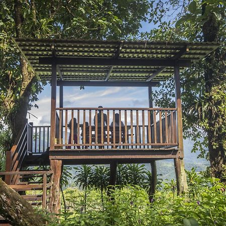 "Hana'S Celeste Retreat" Large Modern Villa Sleeps 6 On 20 Acres Of Nature! 비자구아 외부 사진